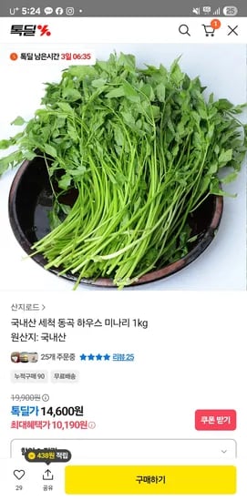 국내산 동곡하우스 세척 미나리 1kg