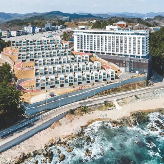 파나크 오퍼레이티드 바이 소노