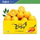 귤로장생 고당도 황금향 4kg 중소과