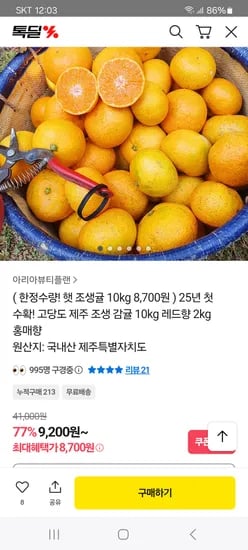 조생귤 대과 10kg