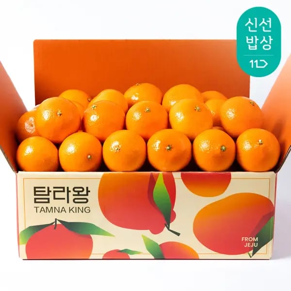 탐라왕 고당도 제주 황금향 4kg