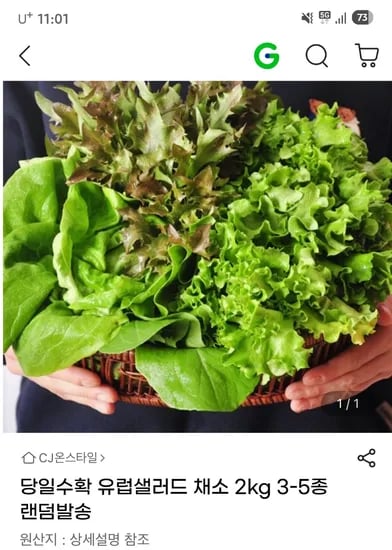 유럽샐러드 채소 2kg 3-5종 랜덤발송