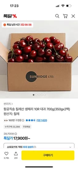 칠레산 생체리 10R 대과 350g 2팩