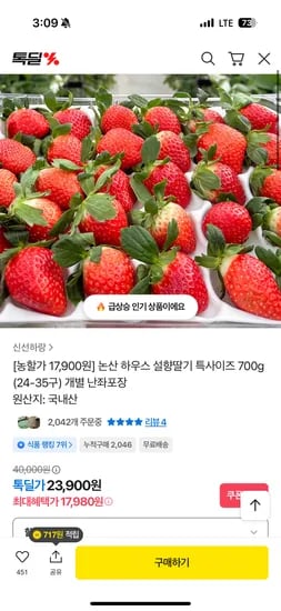 논산 하우스 설향딸기 특사이즈 700g