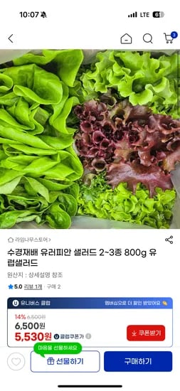 유러피안 샐러드 800g