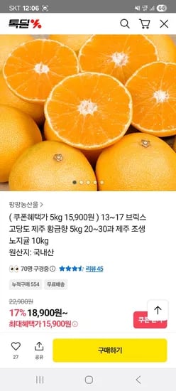 제주 황금향 5kg