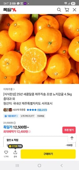 식식한상 제주직송 노지감귤 4.5kg 중대과