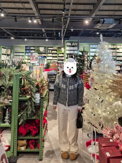에르몽 기모 긴팔티셔츠 3장