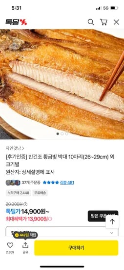반건조 박대 10마리 26~29cm