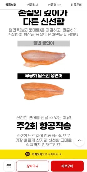 생연어 500g