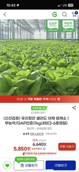 유러피안 샐러드 1kg 내외 (3~6종 랜덤)