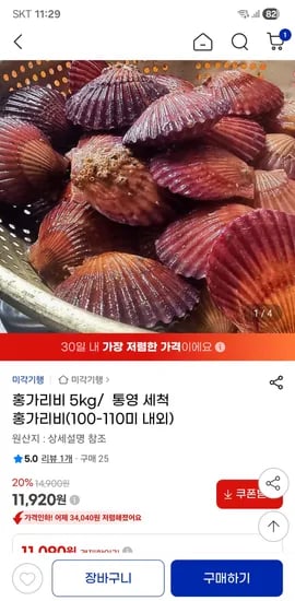 통영 세척 홍가리비 5kg 100미~110미