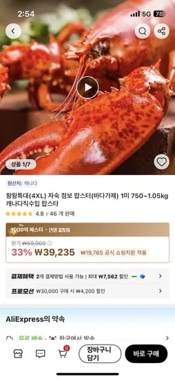 자숙 점보 랍스터 1미