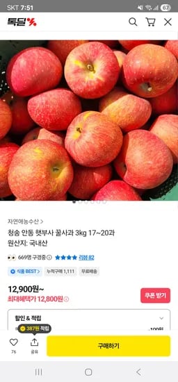 청송 안동 햇부사 꿀사과 3kg 17~20과 12,800원