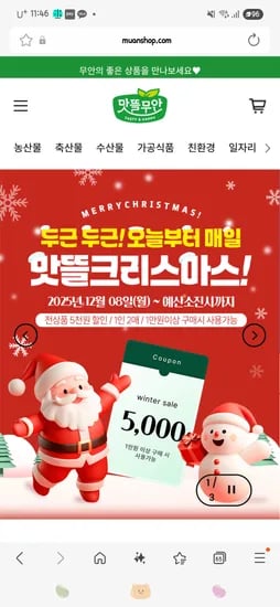양파 5kg 중대혼합 25년 햇양파