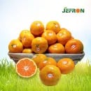 저농약 제주산 조생귤 (2s-m) 4.5kg