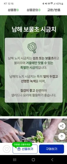 남해 보물초 시금치 2kg