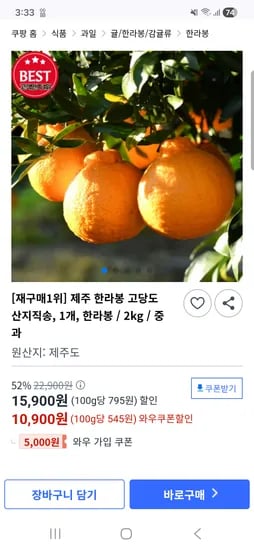 제주 한라봉 고당도 중과 2kg