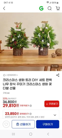 크리스마스 생화 트리 DIY 세트 편백나무 장식 꾸미기