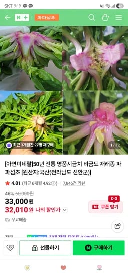 파파섬초 비금도 명품 시금치 2kg