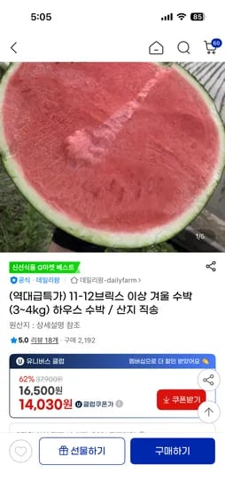 겨울 수박 3~4kg 외 다양