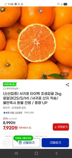 서귀포 타이벡 조생감귤 2kg