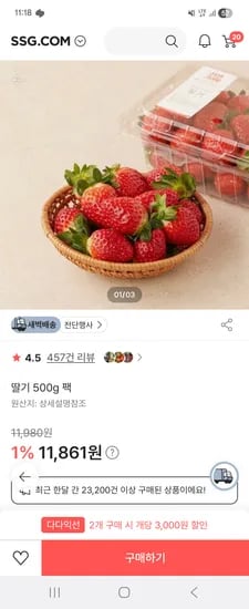 딸기 500g*2 12,907원