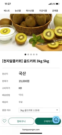 골드키위 3kg