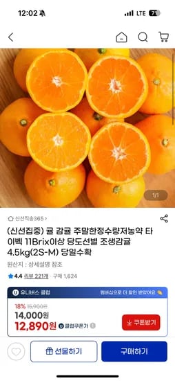제주 저농약 타이벡 조생감귤 4.5kg 2S-M