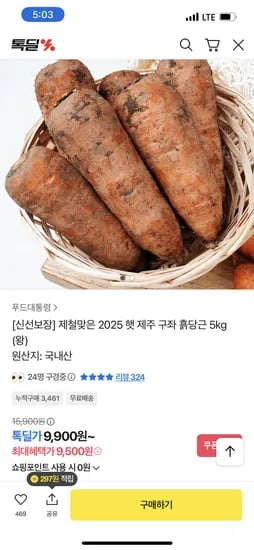 흙당근 왕사이즈 5kg