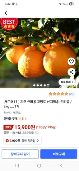 제주 한라봉 2kg
