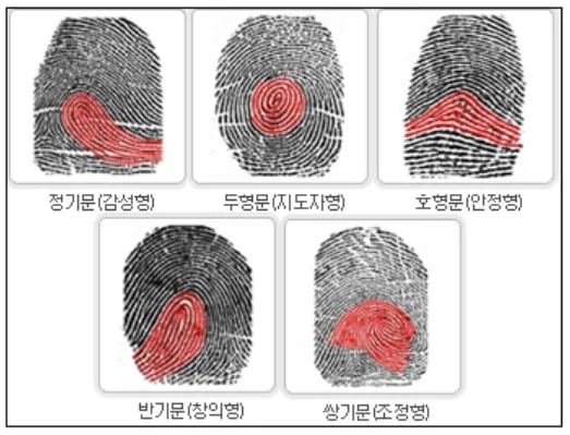 지문적성검사