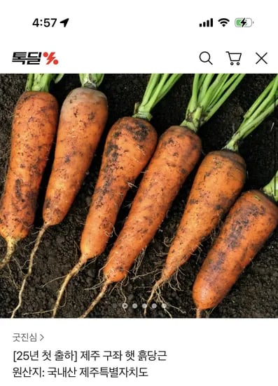 제주 구좌 햇 흙당근 5kg