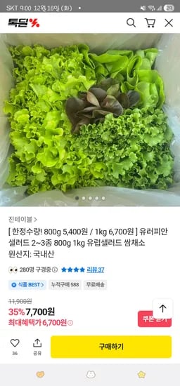 카카오 유러피안샐러드 2~3종 1kg