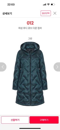 후디 큐브 구스다운 롱패딩