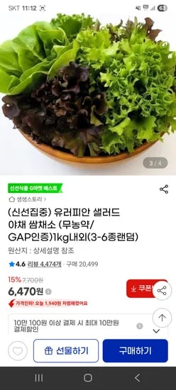 샐러드 야채 쌈채소 무농약 1kg