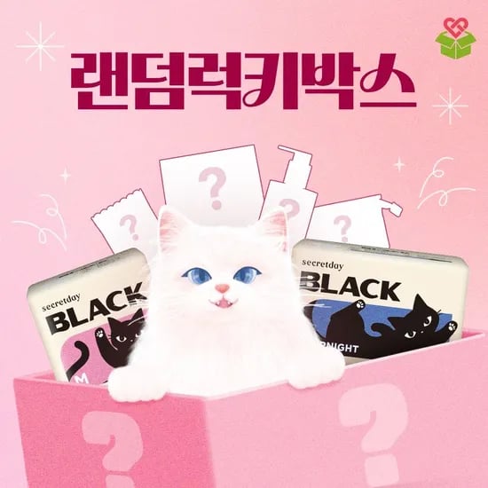 시크릿데이 랜덤박스 9900원