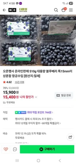 더팜몰 칠레산 생블루베리 510g 2팩