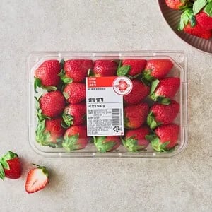설향딸기 500g