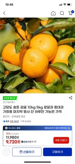 제주 감귤 로얄과 5kg