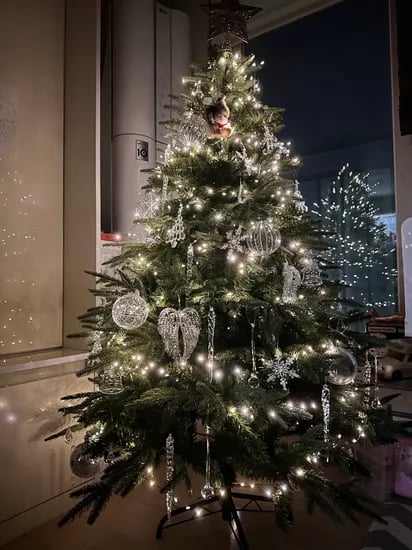 탈 와우는 했지만