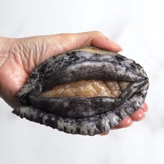 완도사랑 활 중전복 200g 3마리