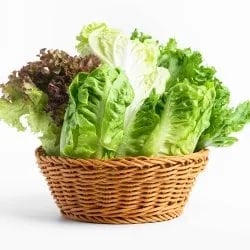 고흥 유러피언 샐러드 쌈채소 1kg