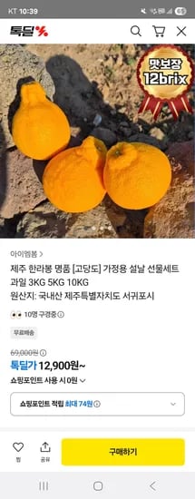 제주 한라봉 소과 2kg