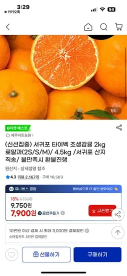 서귀포 타이벡 조생감귤 2kg 로얄과