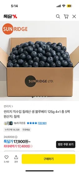 칠레산 블루베리 125g 5팩 17,400원 10팩 27,749원