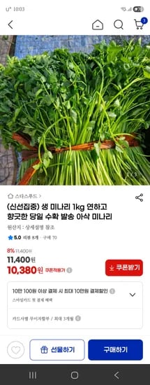 생 미나리 1kg