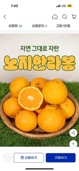 제주 노지 한라봉 중대과 3kg