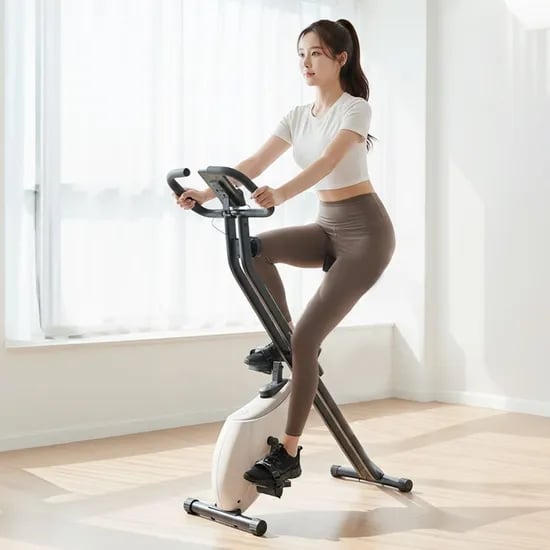 이고진 LPX115 접이식 실내자전거