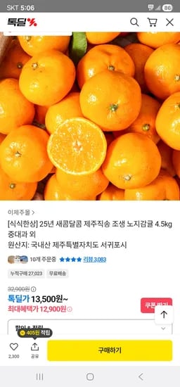 제주도 노지감귤 4.5kg 중대과